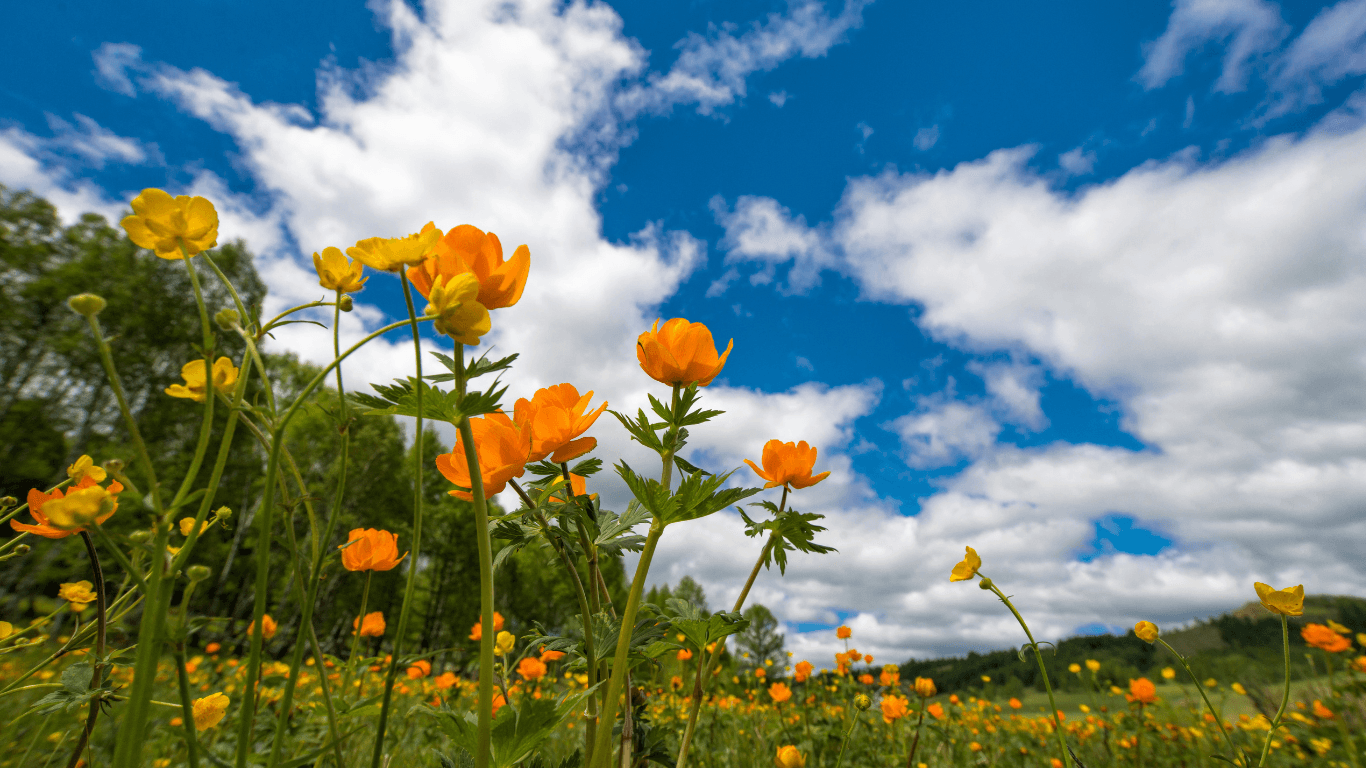 Featured image for the article