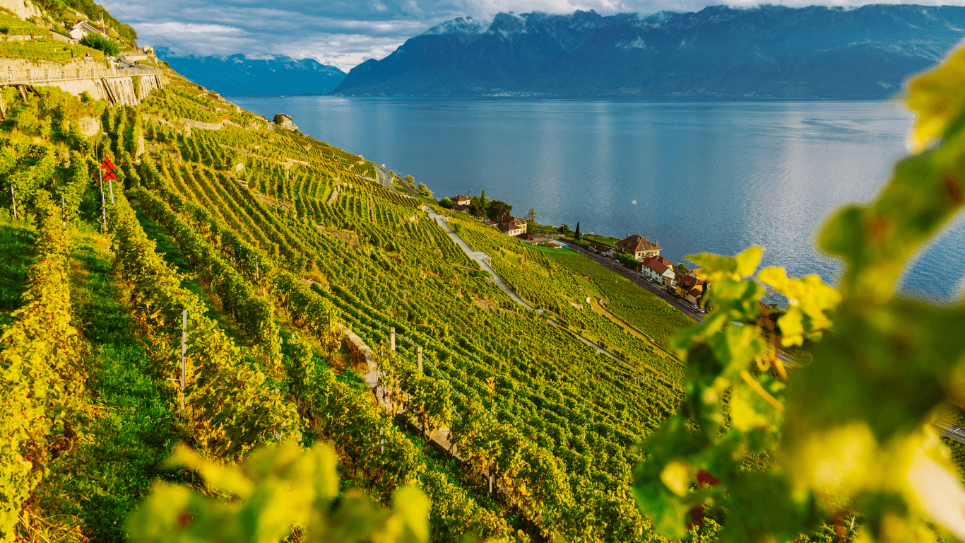 Featured image for the article